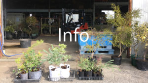 両筑プランツショップ｜植物とタネ・園芸資材の通販｜植木農家直売