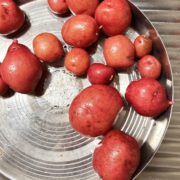 ジャガイモ　アンデスレッドを収穫！そして食べてみました。