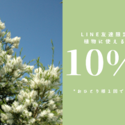 5/31までLINE友達限定で、植物に使える10%オフクーポンあります！