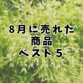 8月に売れた商品 ベスト５