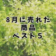 両筑プランツショップ　オンラインショップで8月に売れたもの　ベスト５を紹介!