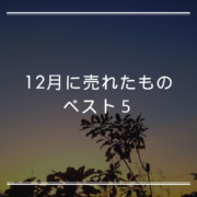 12月　売れたものベスト５