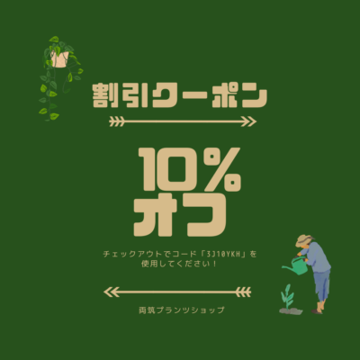 3万以上で10％オフクーポン