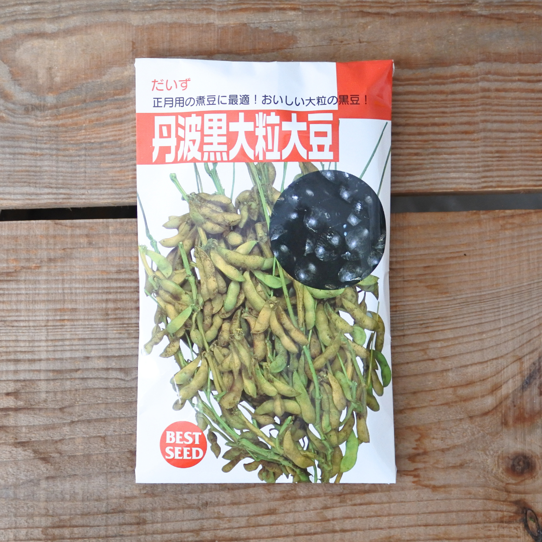 丹波黒 黒大豆 枝豆 小林種苗 タネ 両筑プランツショップ