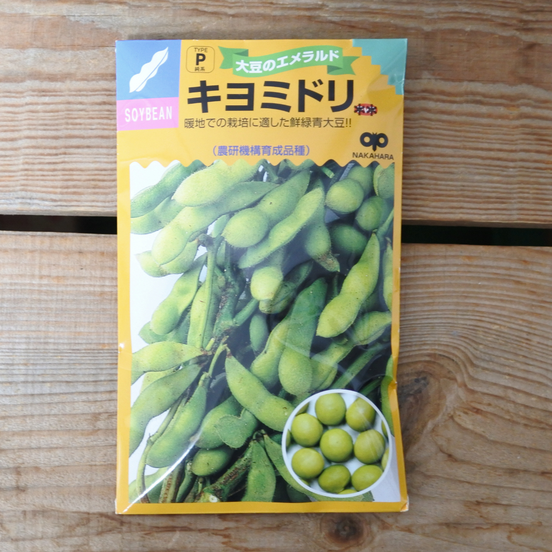 キヨミドリ 青大豆 枝豆 タネ 両筑プランツショップ