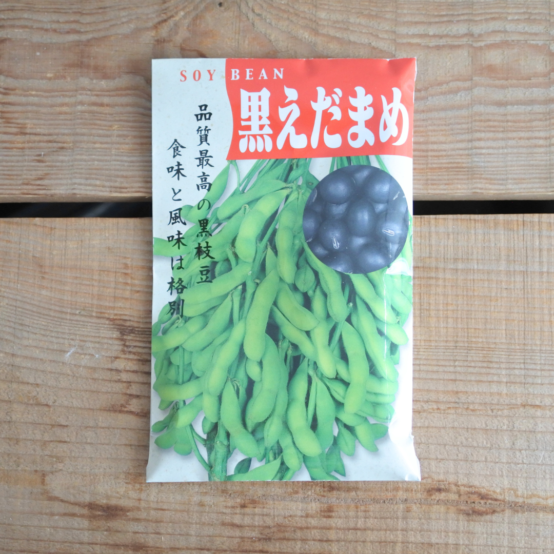 早生黒錦 枝豆 タネ 浜名農園 両筑プランツショップ