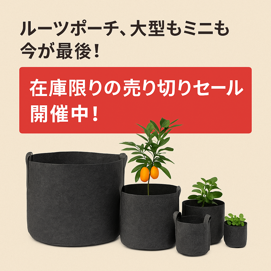 ルーツポーチセール