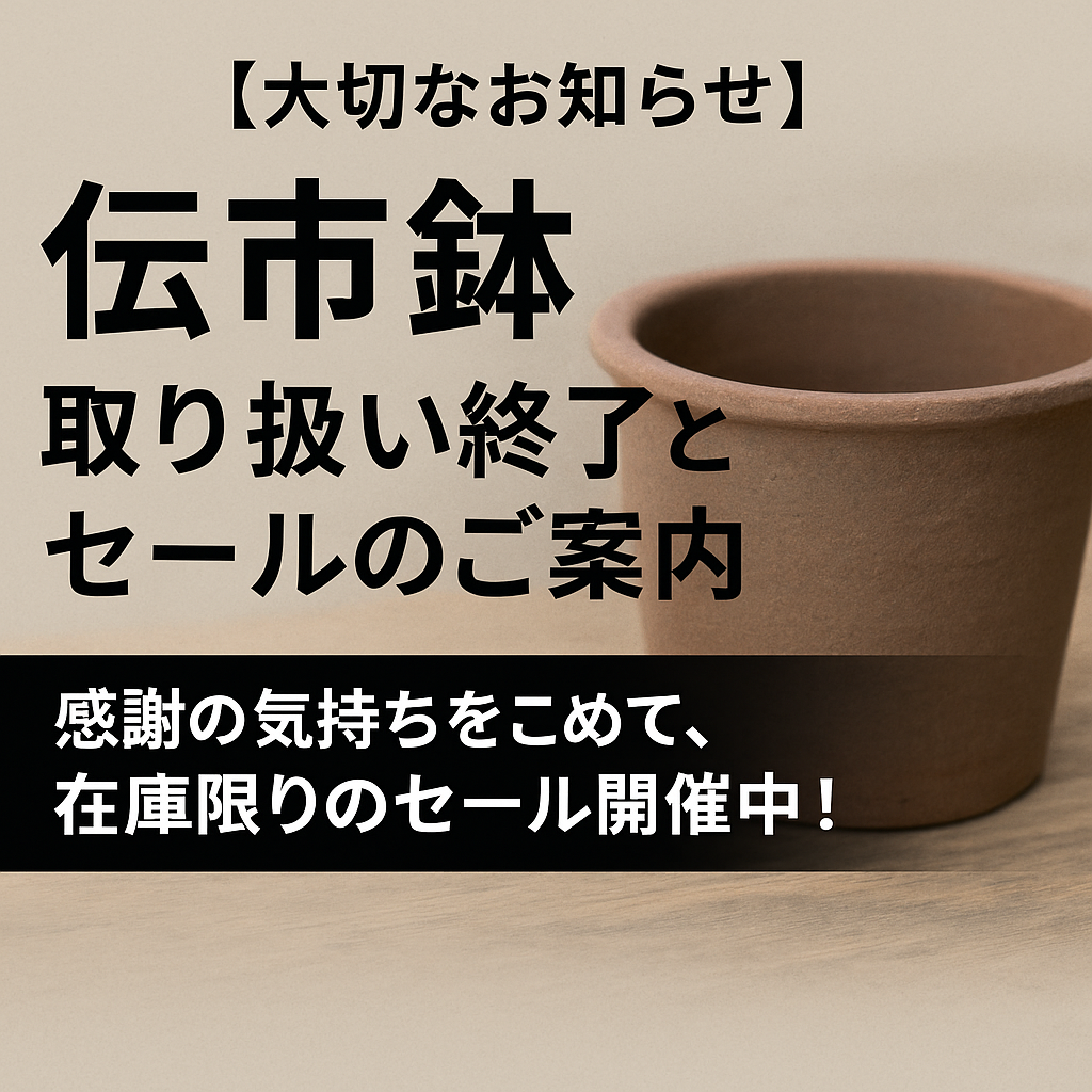 伝市鉢販売終了
