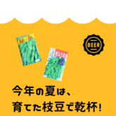 枝豆　ブログ