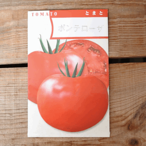 トマト　ポンデローザ