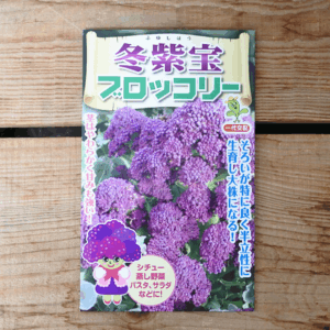 ブロッコリー 冬紫宝(ふゆしほう) 