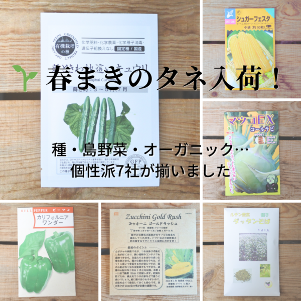 🌱 春まきのタネ入荷！固定種・島野菜・オーガニック…個性派7社が揃いました