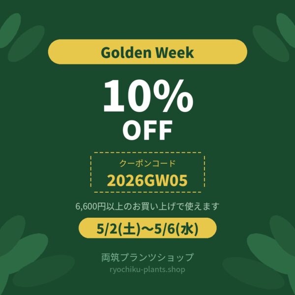 【ゴールデンウィーククーポン】5/2(土)～5/6(水)限定！6,600円以上で10%オフ