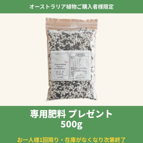 オーストラリア植物をお迎えの方へ、専用肥料をプレゼントします