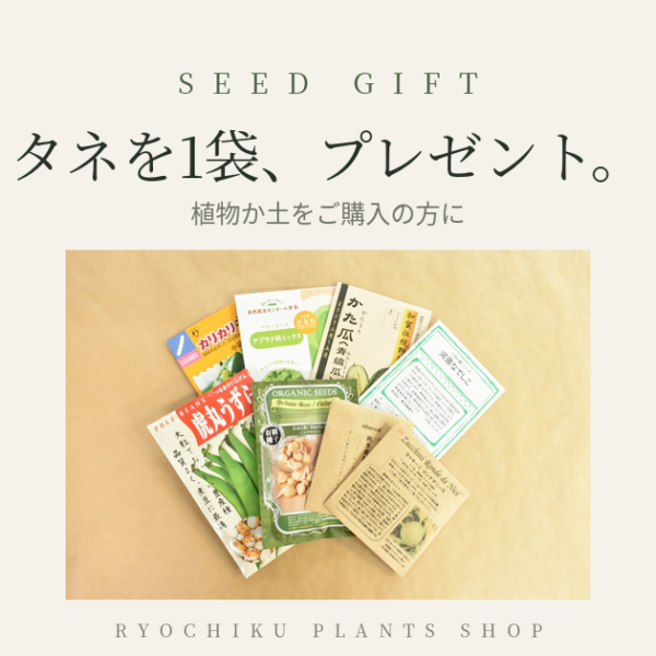 タネを1袋プレゼントしています|期限を過ぎたタネを、捨てずに活かす取り組み